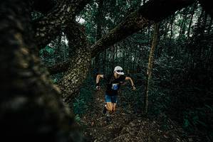 BIB: 
                            <button type="button" onclick="openModal(25683577)" class="btn btn-primary btn-sm float-right btn-popup" data-toggle="modal" data-target=".modal-high-quality">
                        <i class="fas fa-shopping-cart"></i> Add to Cart
                    </button>
                                            <button type="button" onclick="isThisMe(25683577, true)" class="btn btn-success btn-sm float-right btn-popup btn-isme hidden" data-toggle="tooltip" data-placement="bottom" title="นี่คือรูปของคุณใช่ไหม คลิกที่นี่เพื่อเอาเข้าอัลบั้ม">
                        <i class="fas fa-plus"></i> Add to album
                    </button>
                    <button type="button" onclick="isThisMe(25683577, false)" class="btn btn-warning btn-sm float-right btn-popup btn-isnotme hidden">
                        <i class="fas fa-ban"></i> Remove from album
                    </button>